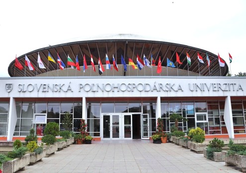 universite-de-slovaquie